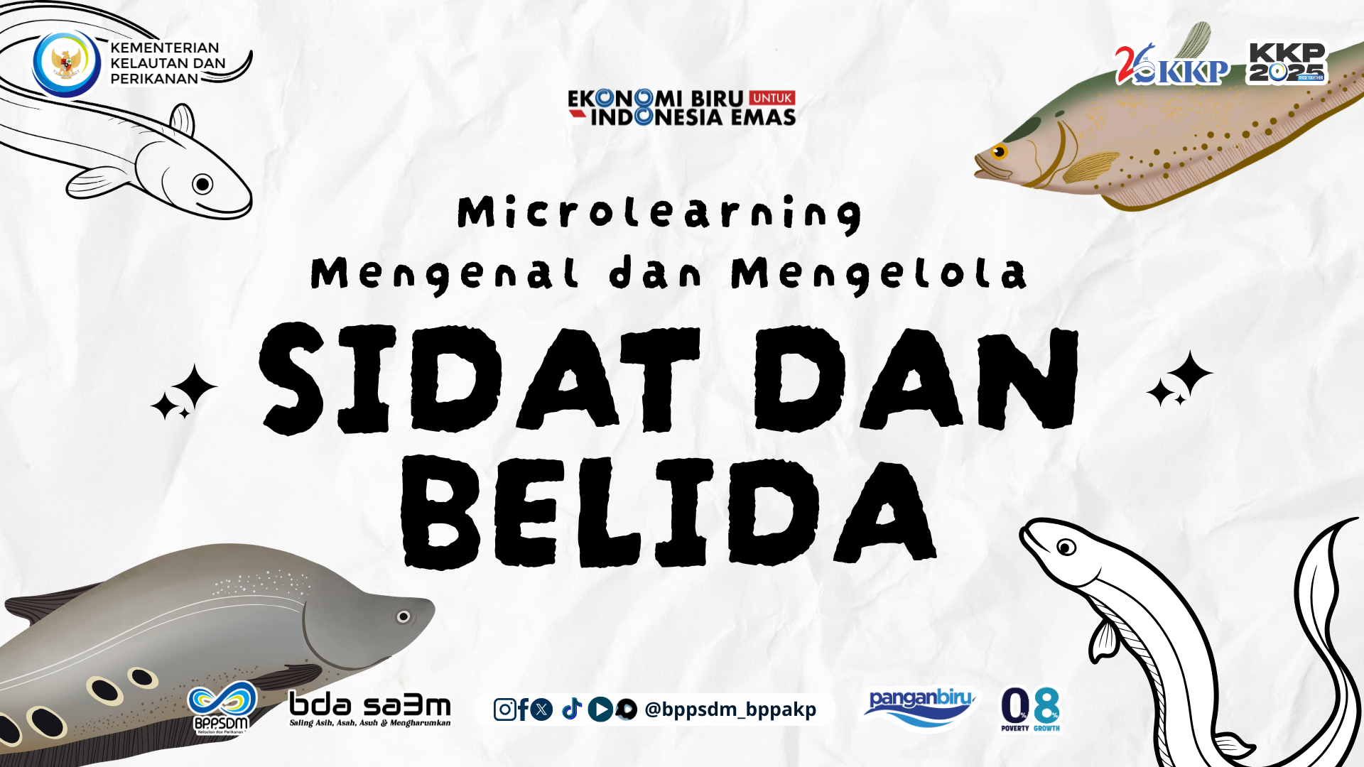 Microlearning Mengenal dan Mengelola Sidat dan Belida
